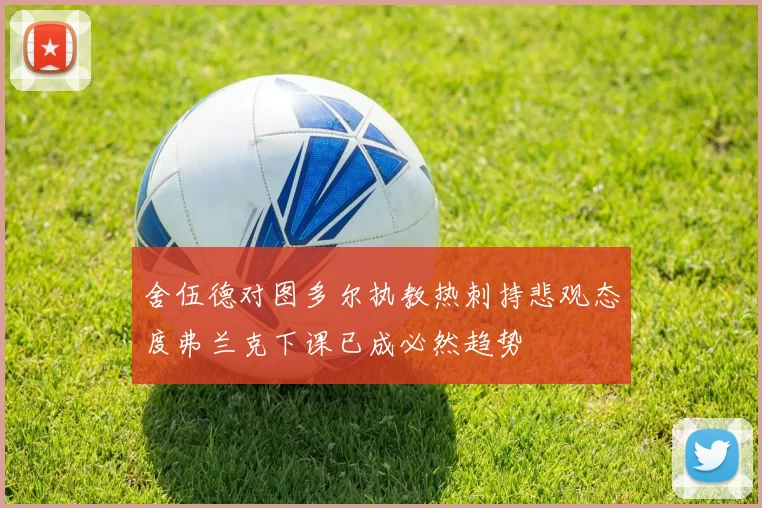 舍伍德对图多尔执教热刺持悲观态度弗兰克下课已成必然趋势
